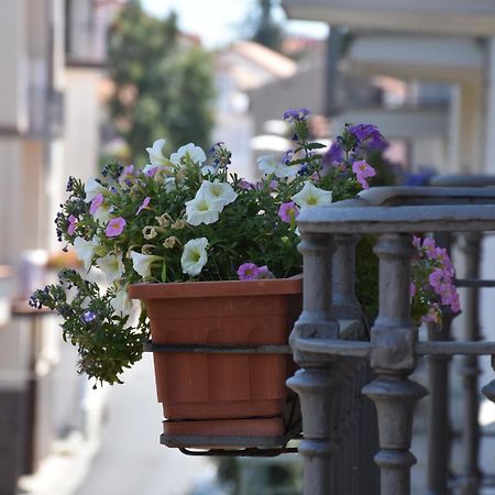 Hotel Risorgimento Agerola Dış mekan fotoğraf