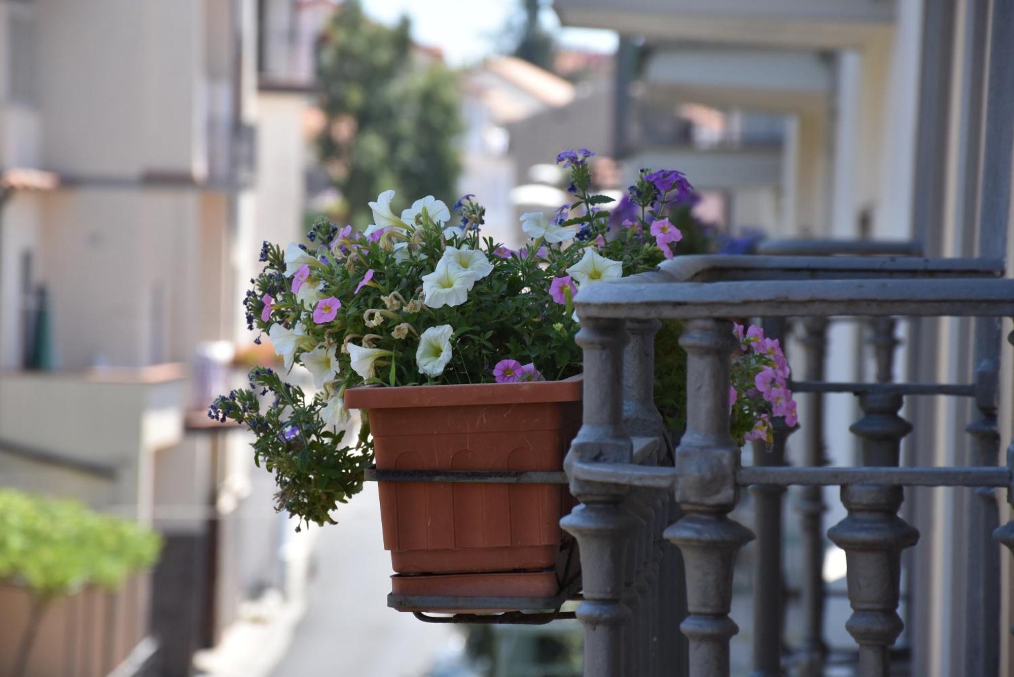 Hotel Risorgimento Agerola Dış mekan fotoğraf